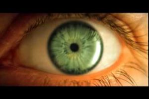 Отсутствие реакции глазного зрачка на резкий свет